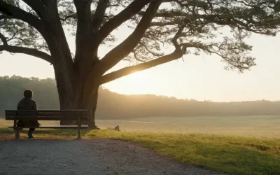 Un ambiente sereno al aire libre